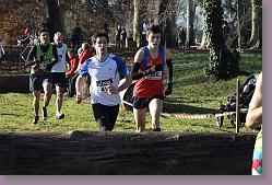 Begles 15.12.13 01 056 * 679 x 453 * (153KB)